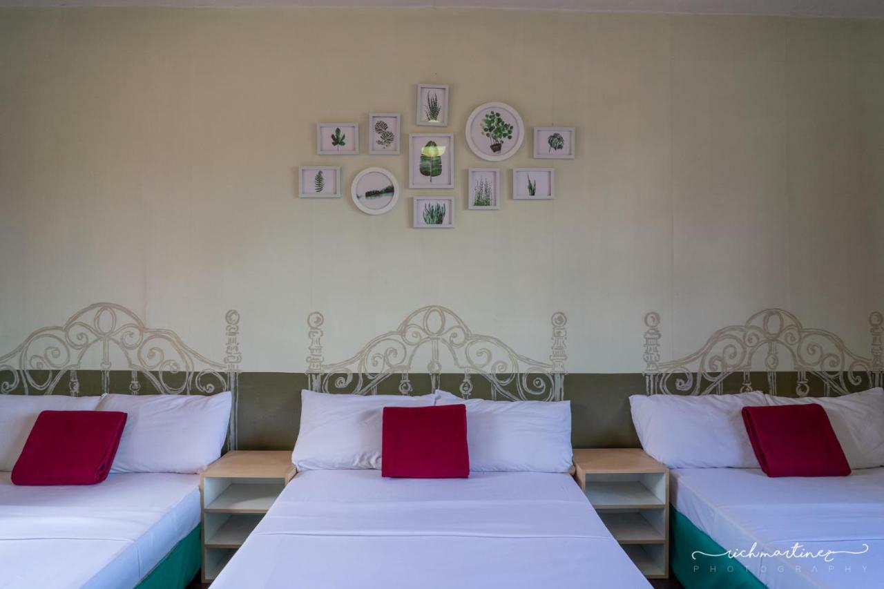 バギオ オールド オレンジウッド ベッド アンド ブレックファスト Bed & Breakfast エクステリア 写真